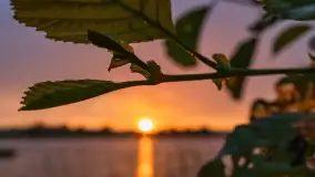 Zachód słońca nad jeziorem Dejgunek, lipiec 2023 r. - zdjęcie 12