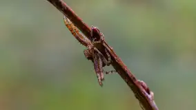 Najmniejsi mieszkańcu Mazur w naszym obiektywie, lipiec 2023 r. - zdjęcie 49