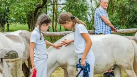 Fotorelacja z Sulimiady, czerwiec 2023 r. - zdjęcie 13
