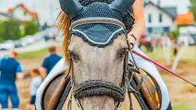 Fotorelacja z Sulimiady, czerwiec 2023 r. - zdjęcie 28