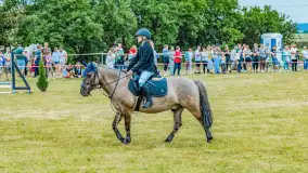 Fotorelacja z Sulimiady, czerwiec 2023 r. - zdjęcie 33