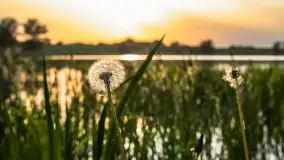 Zachód słońca nad jeziorem Dejgunek, maj 2023 r. - zdjęcie 2