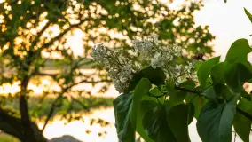 Zachód słońca nad jeziorem Dejgunek, maj 2023 r. - zdjęcie 23