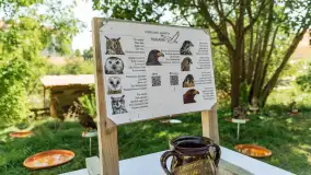 Festiwal Kultury Średniowiecza Masuria 2023 - fotorelacja - zdjęcie 35