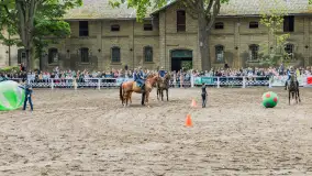 Fotorelacja z czempionatu w Stadzie Ogierów w Kętrzynie, lipiec 2023 - zdjęcie 49