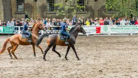 Fotorelacja z czempionatu w Stadzie Ogierów w Kętrzynie, lipiec 2023 - zdjęcie 57