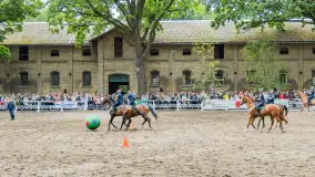 Fotorelacja z czempionatu w Stadzie Ogierów w Kętrzynie, lipiec 2023 - zdjęcie 43