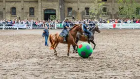 Fotorelacja z czempionatu w Stadzie Ogierów w Kętrzynie, lipiec 2023 - zdjęcie 8