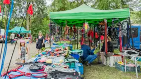 Fotorelacja z czempionatu w Stadzie Ogierów w Kętrzynie, lipiec 2023 - zdjęcie 14