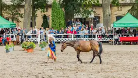 Fotorelacja z czempionatu w Stadzie Ogierów w Kętrzynie, lipiec 2023 - zdjęcie 16
