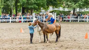 Fotorelacja z czempionatu w Stadzie Ogierów w Kętrzynie, lipiec 2023 - zdjęcie 18