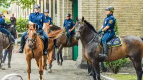 Fotorelacja z czempionatu w Stadzie Ogierów w Kętrzynie, lipiec 2023 - zdjęcie 26