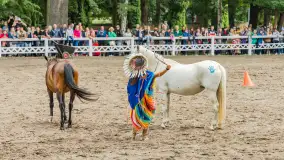 Fotorelacja z czempionatu w Stadzie Ogierów w Kętrzynie, lipiec 2023 - zdjęcie 38