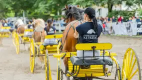 Fotorelacja z czempionatu w Stadzie Ogierów w Kętrzynie, lipiec 2023 - zdjęcie 35