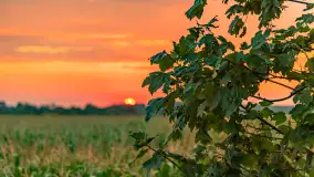 Zachód słońca w okolicach Wopławek i Kętrzyna - zdjęcie 14