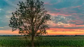 Zachód słońca w okolicach Wopławek i Kętrzyna - zdjęcie 1