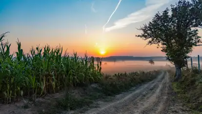 Wschód słońca we wsi Pożarki, wrzesień 2023 r.