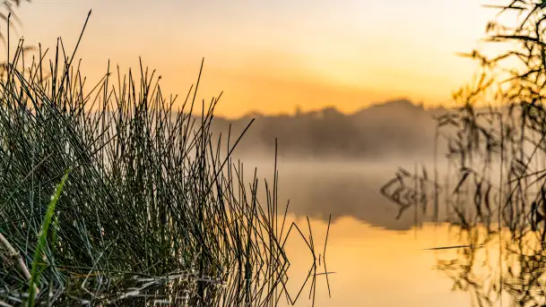 Wrześniowy i mglisty wschód słońca nad jeziorem Mój - zdjęcie 2