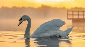 Wrześniowy i mglisty wschód słońca nad jeziorem Mój - zdjęcie 12