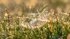 Wrześniowy i mglisty wschód słońca nad jeziorem Mój - zdjęcie 12