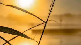 Wrześniowy i mglisty wschód słońca nad jeziorem Mój - zdjęcie 49