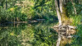 Piękno Sapiny w okolicach Pozezdrza, wrzesień 2023 r. - zdjęcie 24