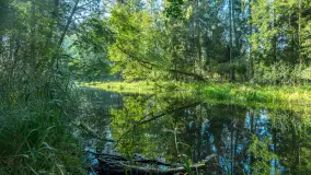 Piękno Sapiny w okolicach Pozezdrza, wrzesień 2023 r. - zdjęcie 33