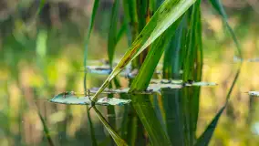 Piękno Sapiny w okolicach Pozezdrza, wrzesień 2023 r. - zdjęcie 17