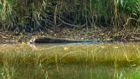 Piękno Sapiny w okolicach Pozezdrza, wrzesień 2023 r. - zdjęcie 41