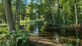 Piękno Sapiny w okolicach Pozezdrza, wrzesień 2023 r. - zdjęcie 35