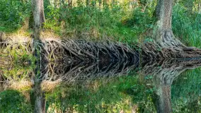 Piękno Sapiny w okolicach Pozezdrza, wrzesień 2023 r. - zdjęcie 39