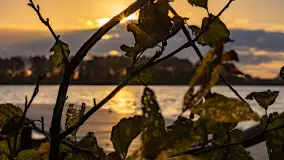 Zachód słońca nad jeziorem Mój, październik 2023 r. - zdjęcie 9