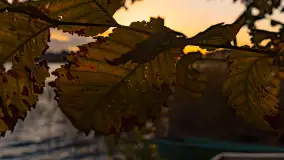 Zachód słońca nad jeziorem Mój, październik 2023 r. - zdjęcie 50