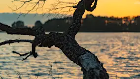 Zachód słońca nad jeziorem Mój, październik 2023 r. - zdjęcie 34