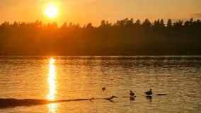 Sezon 2023 na zdjęciach... z telefonu Artura - zdjęcie 132