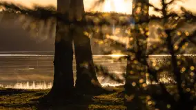 Wschód słońca nad jeziorem Iławki - zdjęcie 12