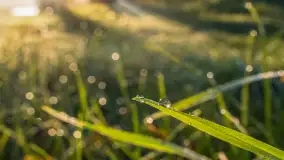 Wschód słońca nad jeziorem Iławki - zdjęcie 31