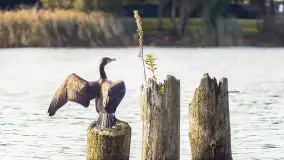Miłośnicy Mazur - magia regionu na zdjęciach Marty Sotnik - zdjęcie 7