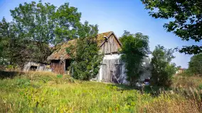 Miłośnicy Mazur - magia regionu na zdjęciach Marty Sotnik - zdjęcie 4