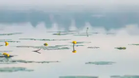 Miłośnicy Mazur - magia regionu na zdjęciach Marty Sotnik - zdjęcie 11