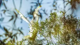 Miłośnicy Mazur - magia regionu na zdjęciach Marty Sotnik - zdjęcie 21