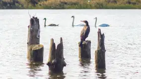 Miłośnicy Mazur - magia regionu na zdjęciach Marty Sotnik - zdjęcie 10