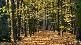 Złota mazurska jesień w Mrągowie nad jeziorem Juno - zdjęcie 25