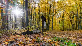 Złota mazurska jesień w Mrągowie nad jeziorem Juno - zdjęcie 4