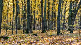 Złota mazurska jesień w Mrągowie nad jeziorem Juno - zdjęcie 11