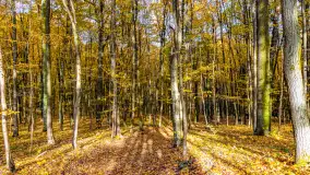 Złota mazurska jesień w Mrągowie nad jeziorem Juno - zdjęcie 34