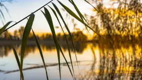 Jesień nad jeziorem Iławki, październik 2023 r. - zdjęcie 10