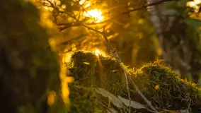 Jesień nad jeziorem Iławki, październik 2023 r. - zdjęcie 28