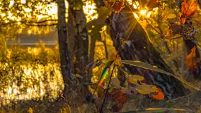 Jesień nad jeziorem Iławki, październik 2023 r. - zdjęcie 34