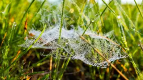 Przyrodniczy wschód słońca nad jeziorem Mażańskie - zdjęcie 6